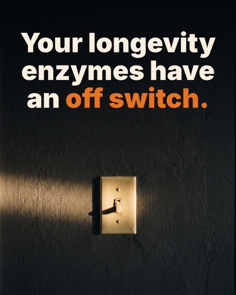 Off switch, NMN-99