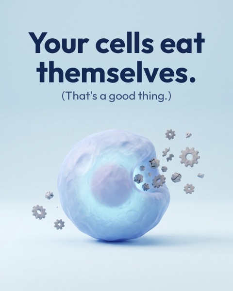 Your cells eat themselves, SPMD-99