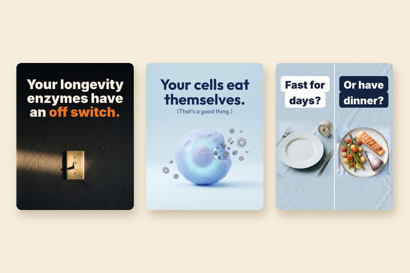 Three of Nick and Sully's slideshow ads now on Meta: an off switch, cells that eat themselves, and fast for days or have dinner